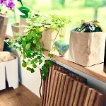 Tinyhouse Minimalus I - Outdoorkueche Und Nebeldusche 度假居 Dachsenhausen