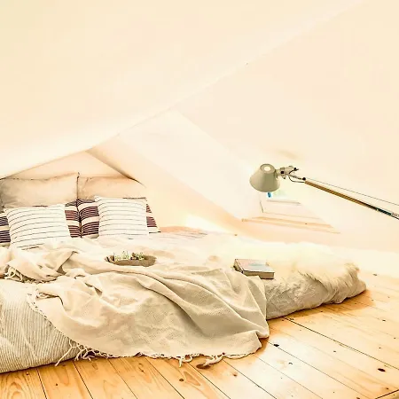 度假居 Tinyhouse Minimalus I - Outdoorkueche Und Nebeldusche