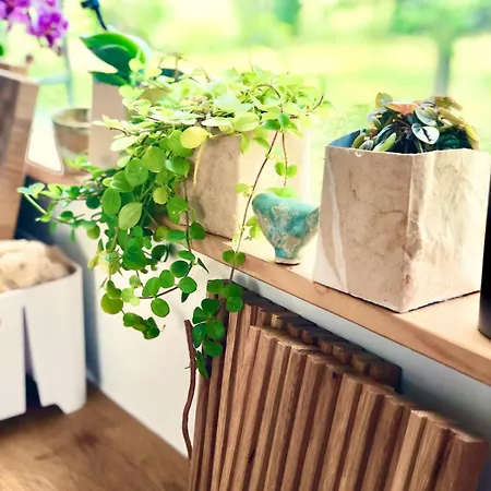 Tinyhouse Minimalus I - Outdoorkueche Und Nebeldusche 度假居 Dachsenhausen